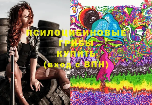 spice Алексин