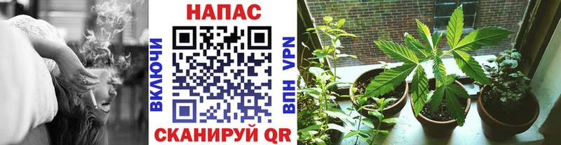 blacksprut зеркало Нестеровская Бошки марихуана LSD WEED где можно купить